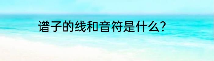谱子的线和音符是什么？