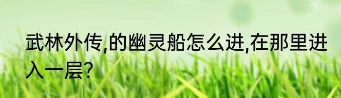 武林外传,的幽灵船怎么进,在那里进入一层？