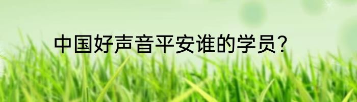 中国好声音平安谁的学员？