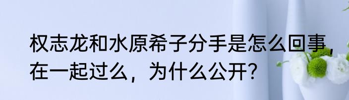 权志龙和水原希子分手是怎么回事，在一起过么，为什么公开？