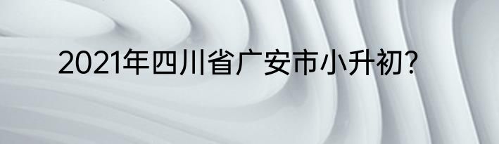 2021年四川省广安市小升初？