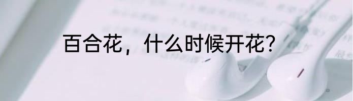百合花，什么时候开花？