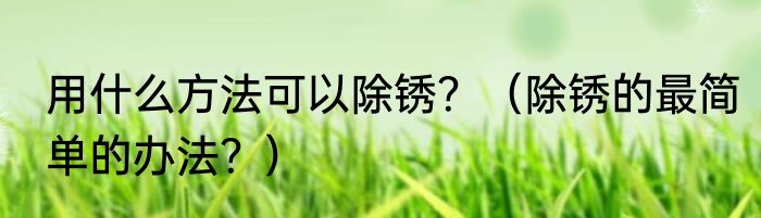 用什么方法可以除锈？（除锈的最简单的办法？）