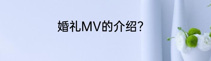 婚礼MV的介绍？
