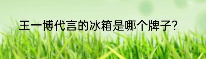 王一博代言的冰箱是哪个牌子？