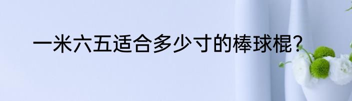 一米六五适合多少寸的棒球棍？