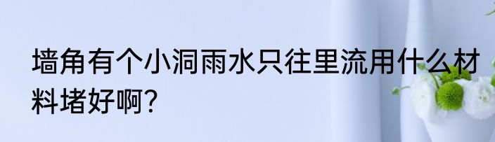 墙角有个小洞雨水只往里流用什么材料堵好啊？