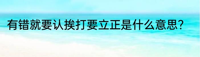 有错就要认挨打要立正是什么意思？