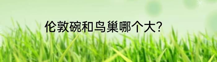 伦敦碗和鸟巢哪个大？