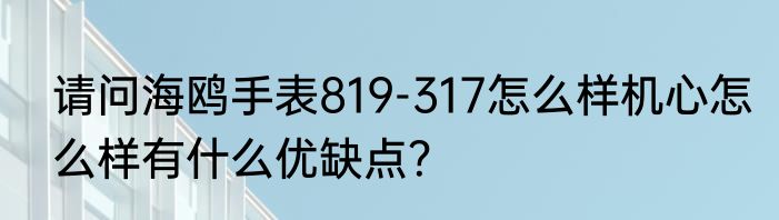 请问海鸥手表819-317怎么样机心怎么样有什么优缺点？