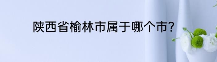 陕西省榆林市属于哪个市？