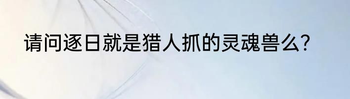 请问逐日就是猎人抓的灵魂兽么？