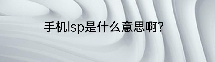 手机lsp是什么意思啊？
