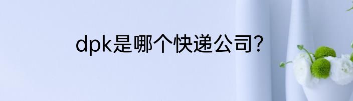 dpk是哪个快递公司？