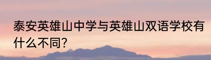 泰安英雄山中学与英雄山双语学校有什么不同？