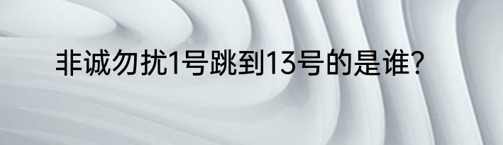 非诚勿扰1号跳到13号的是谁？