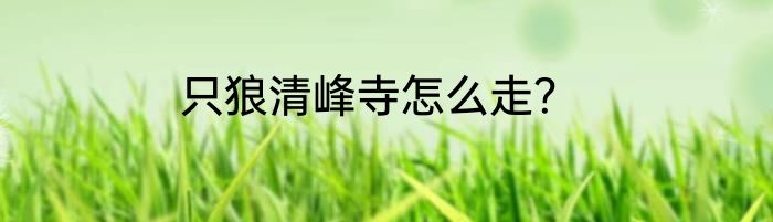 只狼清峰寺怎么走？