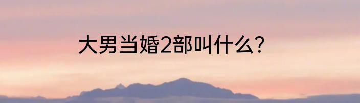 大男当婚2部叫什么？