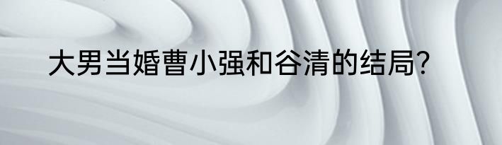 大男当婚曹小强和谷清的结局？