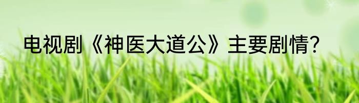 电视剧《神医大道公》主要剧情？