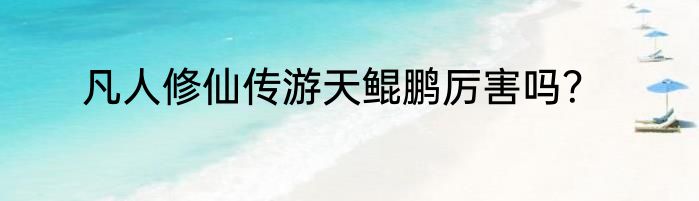 凡人修仙传游天鲲鹏厉害吗？