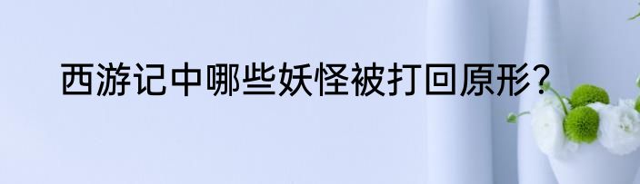 西游记中哪些妖怪被打回原形？