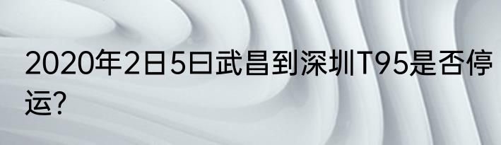 2020年2日5曰武昌到深圳T95是否停运？