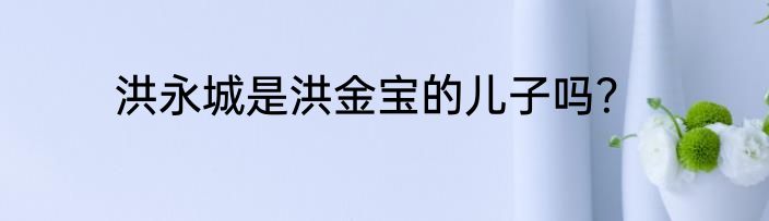 洪永城是洪金宝的儿子吗？