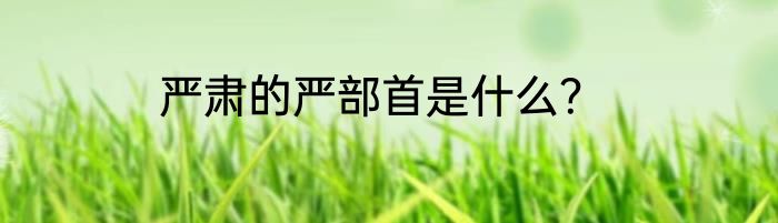 严肃的严部首是什么？