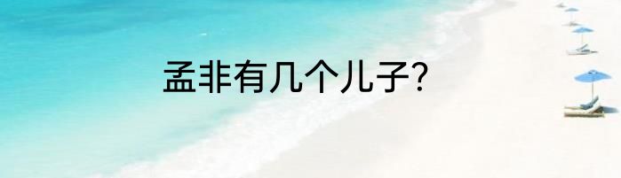 孟非有几个儿子？
