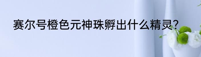 赛尔号橙色元神珠孵出什么精灵？