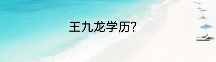王九龙学历？