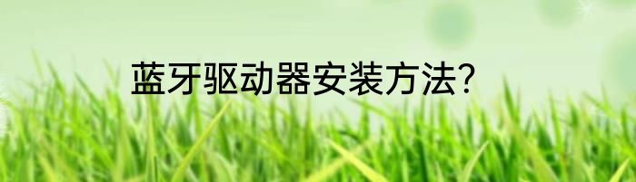 蓝牙驱动器安装方法？