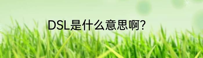 DSL是什么意思啊？