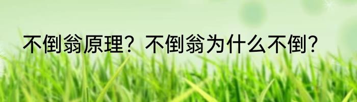 不倒翁原理？不倒翁为什么不倒？