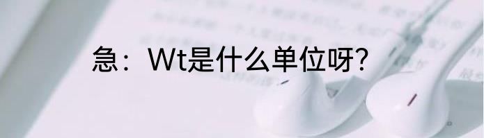 急：Wt是什么单位呀？
