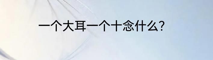 一个大耳一个十念什么？