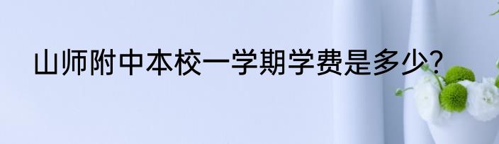 山师附中本校一学期学费是多少？