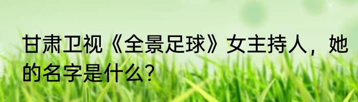 甘肃卫视《全景足球》女主持人，她的名字是什么？
