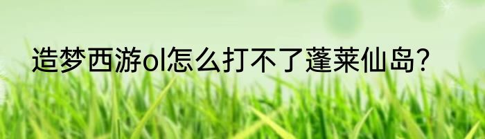 造梦西游ol怎么打不了蓬莱仙岛？