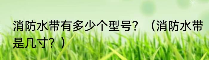 消防水带有多少个型号？（消防水带是几寸？）