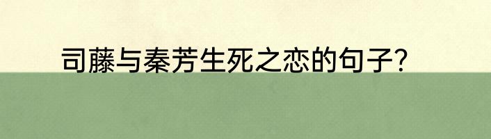 司藤与秦芳生死之恋的句子？