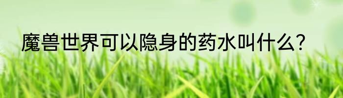 魔兽世界可以隐身的药水叫什么？