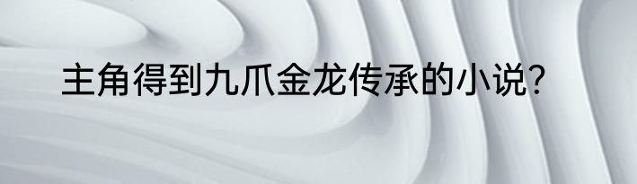 主角得到九爪金龙传承的小说？