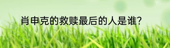 肖申克的救赎最后的人是谁？