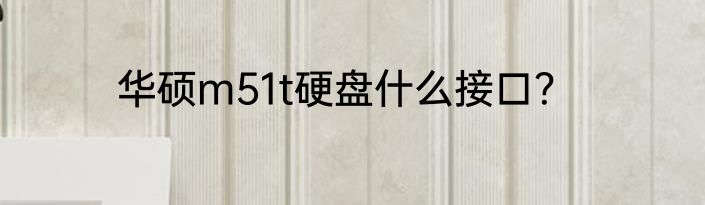 华硕m51t硬盘什么接口？