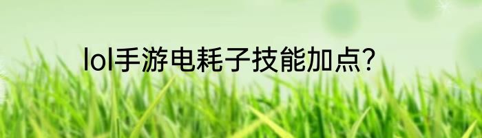 lol手游电耗子技能加点？