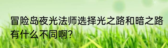 冒险岛夜光法师选择光之路和暗之路有什么不同啊？