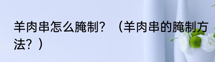 羊肉串怎么腌制？（羊肉串的腌制方法？）
