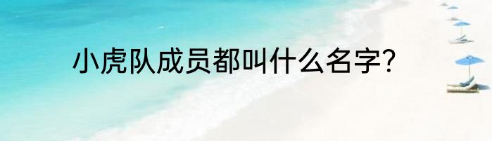 小虎队成员都叫什么名字？